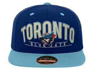 American Needle Vintage Toronto Blue Jays Arch Snapback Hat
